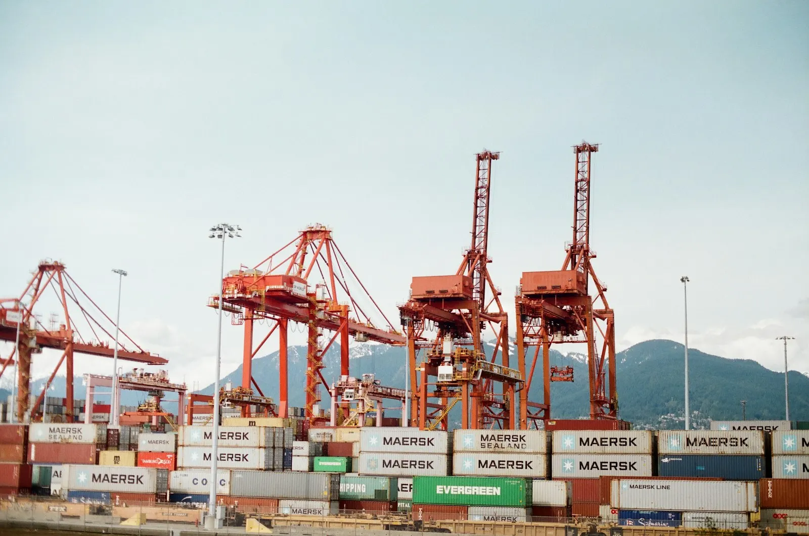 Container port infrastructure with cargo cranes